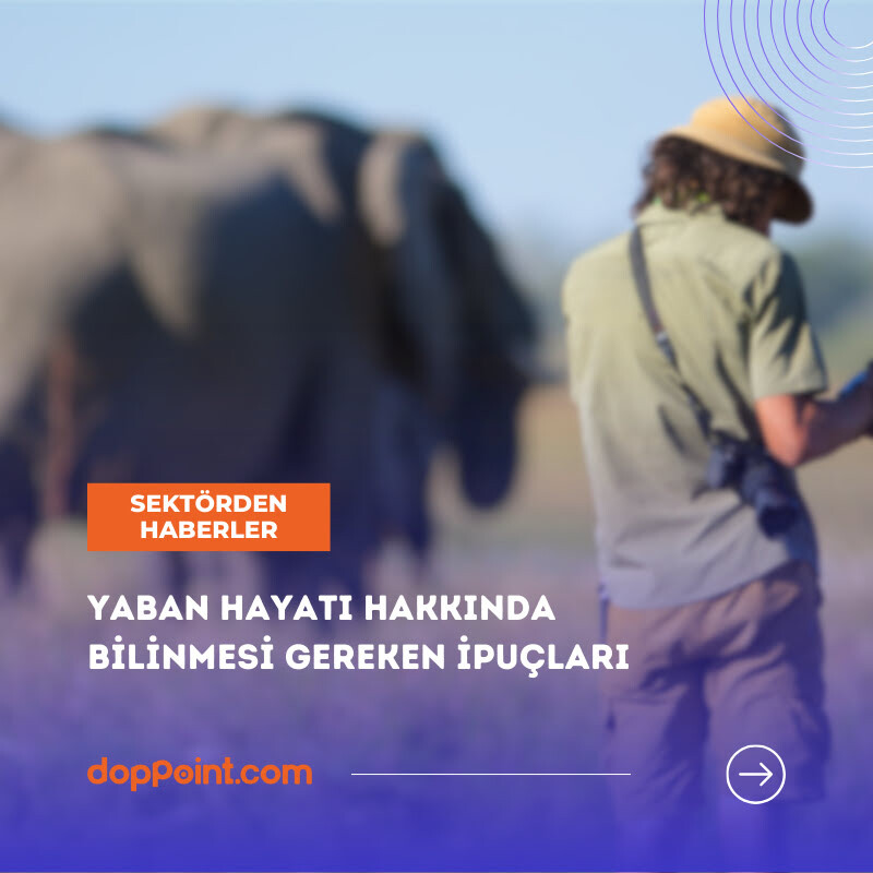 Yaban Hayatı Hakkında Bilinmesi Gereken İpuçları 