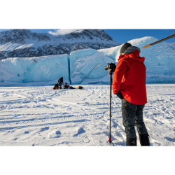 iFootage Cobra 3 Monopod & Komodo K5S Fluid Tripod Kafası - 11