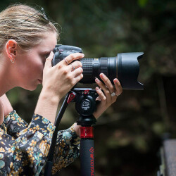 iFootage Komodo K5S Fluid Tripod Kafası - 6