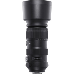 Sigma 60-600mm F4.5-6.3 DG OS HSM Sport Lens (Nikon F) - Sigma (1)