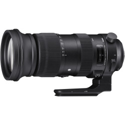 Sigma 60-600mm F4.5-6.3 DG OS HSM Sport Lens (Nikon F) - 1