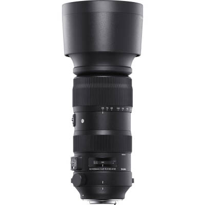 Sigma 60-600mm F4.5-6.3 DG OS HSM Sport Lens (Nikon F) - 2